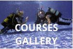 COURSES GALLERY