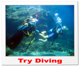 Try Diving
