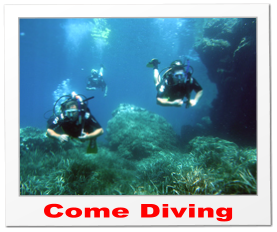Come Diving