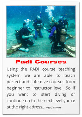 Padi Courses Using the PADI course teaching system we are able to teach perfect and safe dive courses from beginner to Instructor level. So if you want to start diving or continue on to the next level you’re at the right adress…..read more