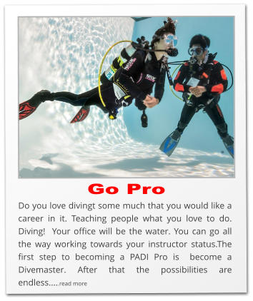 Go Pro Do you love divingt some much that you would like a career in it. Teaching people what you love to do. Diving!  Your office will be the water. You can go all the way working towards your instructor status.The first step to becoming a PADI Pro is  become a Divemaster. After that the possibilities are endless.....read more