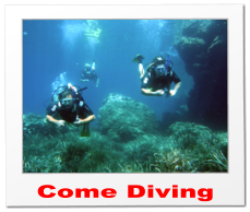 Come Diving