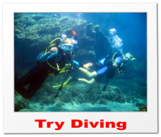 Try Diving