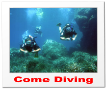 Come Diving