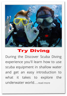 Try Diving During the Discover Scuba Diving experience you'll learn how to use scuba equipment in shallow water and get an easy introduction to what it takes to explore the underwater world……read more