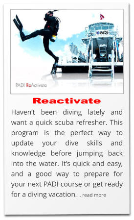 Reactivate Haven’t been diving lately and want a quick scuba refresher. This program is the perfect way to update your dive skills and knowledge before jumping back into the water. It’s quick and easy, and a good way to prepare for your next PADI course or get ready for a diving vacation….. read more