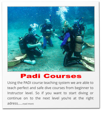 Padi Courses Using the PADI course teaching system we are able to teach perfect and safe dive courses from beginner to Instructor level. So if you want to start diving or continue on to the next level you’re at the right adress…..read more