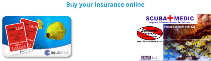 Buy your insurance online