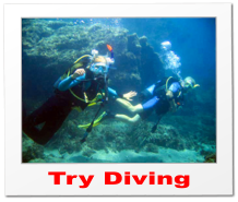 Try Diving