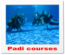 Padi courses