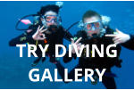 TRY DIVING GALLERY